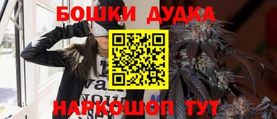 крисы Дубна