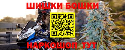 крисы Дубна