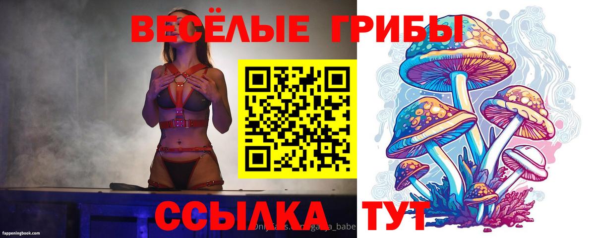Нововоронеж  Псилоцибиновые грибы GOLDEN TEACHER  Вход с VPN 